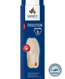 Shoeboy'S Evolution stability