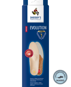 Shoeboy'S Evolution support